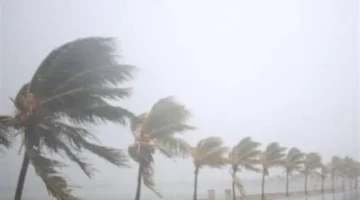 تقلبات جوية تضرب مصر وشبورة مائية كثيفة تغطي الطرق صباح الأربعاء 25 فبراير